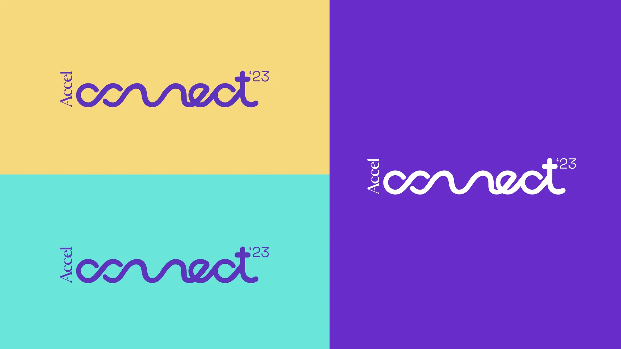 Accel Connect logotype shown in four colour lockups: purple on yellow, purple on mint, white on purple, and purple on white